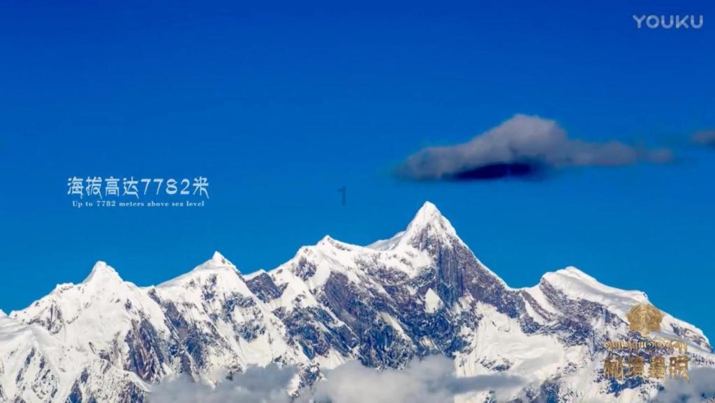 小红帽的冒险之旅